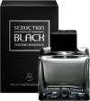 Antonio Banderas Seduction in Black