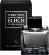 Antonio Banderas Seduction in Black