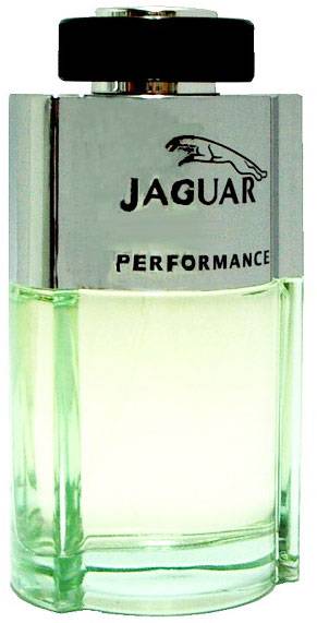 Jaguar Performance